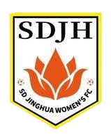 尼斯